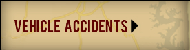 View Vehicle Accidents